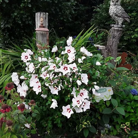 A In The House In The Rose Garden *